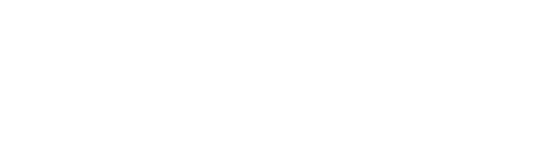 Partner logo 5
